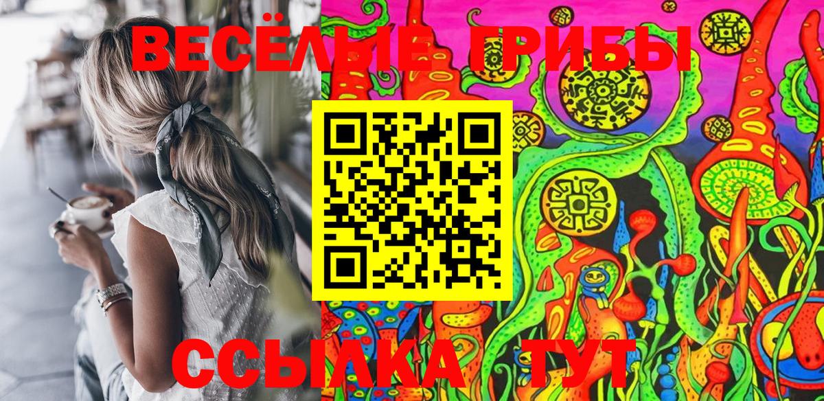 Ливны  Псилоцибиновые грибы MAGIC MUSHROOMS  Псилоцибиновые грибы Psilocybe  Вход с VPN 