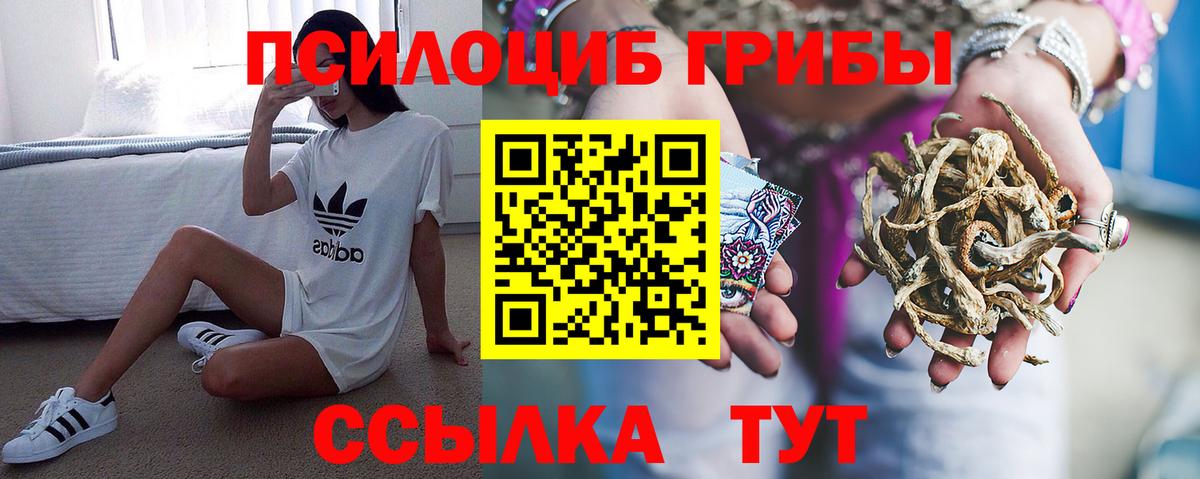 Галлюциногенные грибы Psilocybine cubensis Ливны